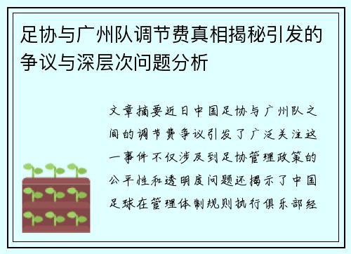 足协与广州队调节费真相揭秘引发的争议与深层次问题分析 足协与广州队调节费真相揭秘引发的争议与深层次问题分析